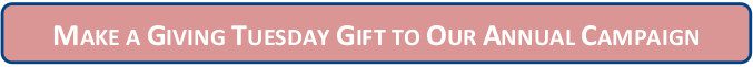 Giving Tuesday Gift Button